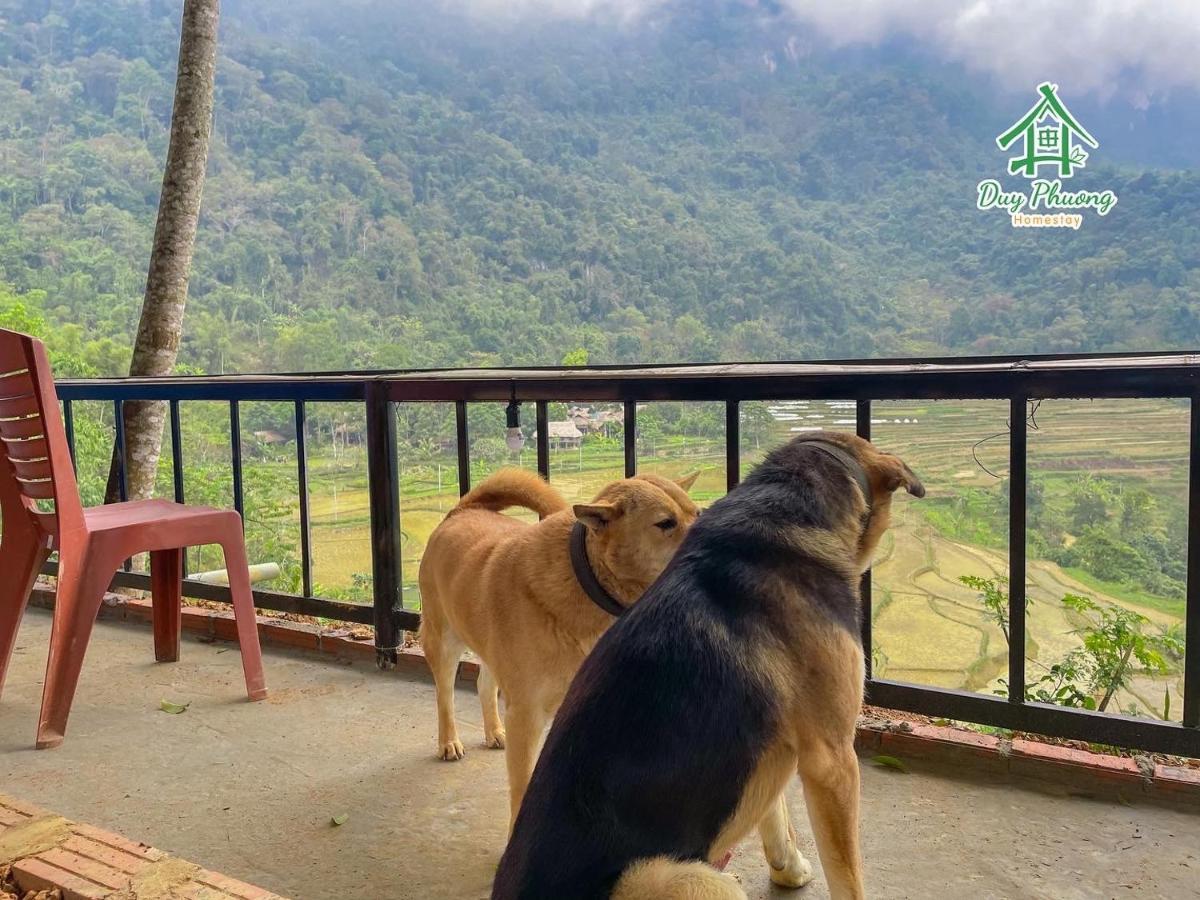 Pu Luong - Duy Phuong Homestay Thanh Hóa Eksteriør billede