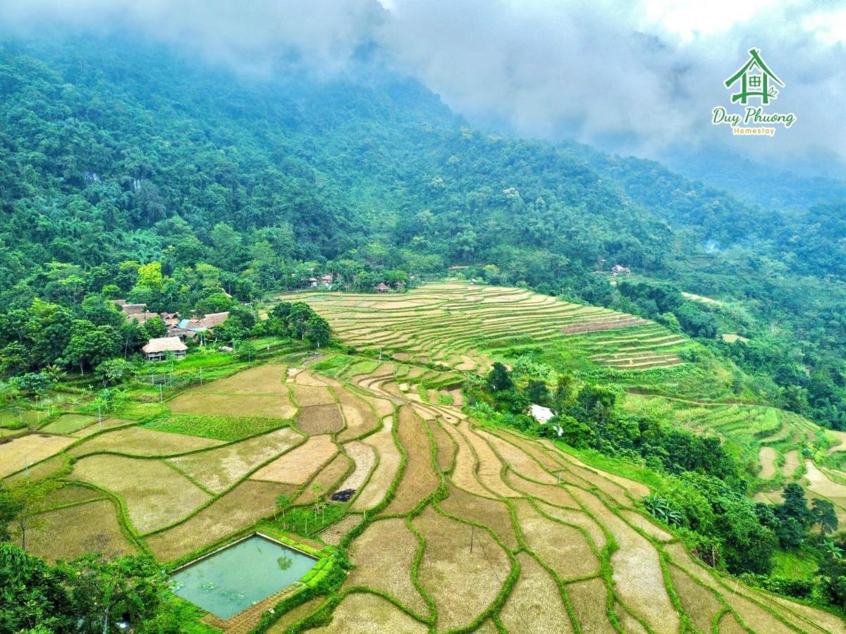 Pu Luong - Duy Phuong Homestay Thanh Hóa Eksteriør billede