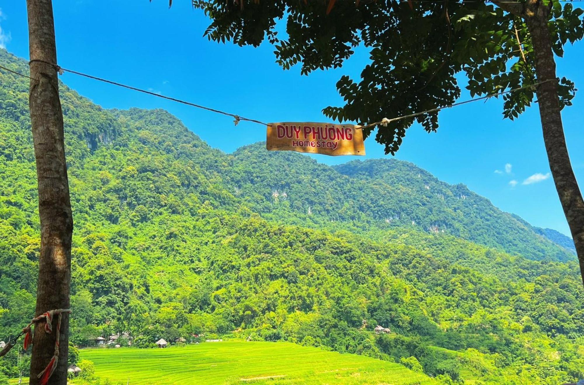 Pu Luong - Duy Phuong Homestay Thanh Hóa Eksteriør billede